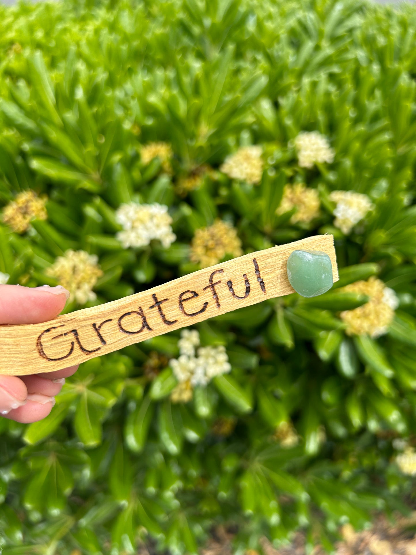 Engraved Palo Santo with Tumble Crystal/Gemstone