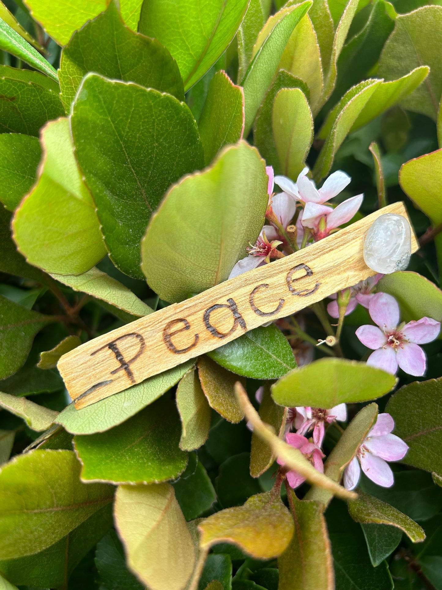 Engraved Palo Santo with Tumble Crystal/Gemstone