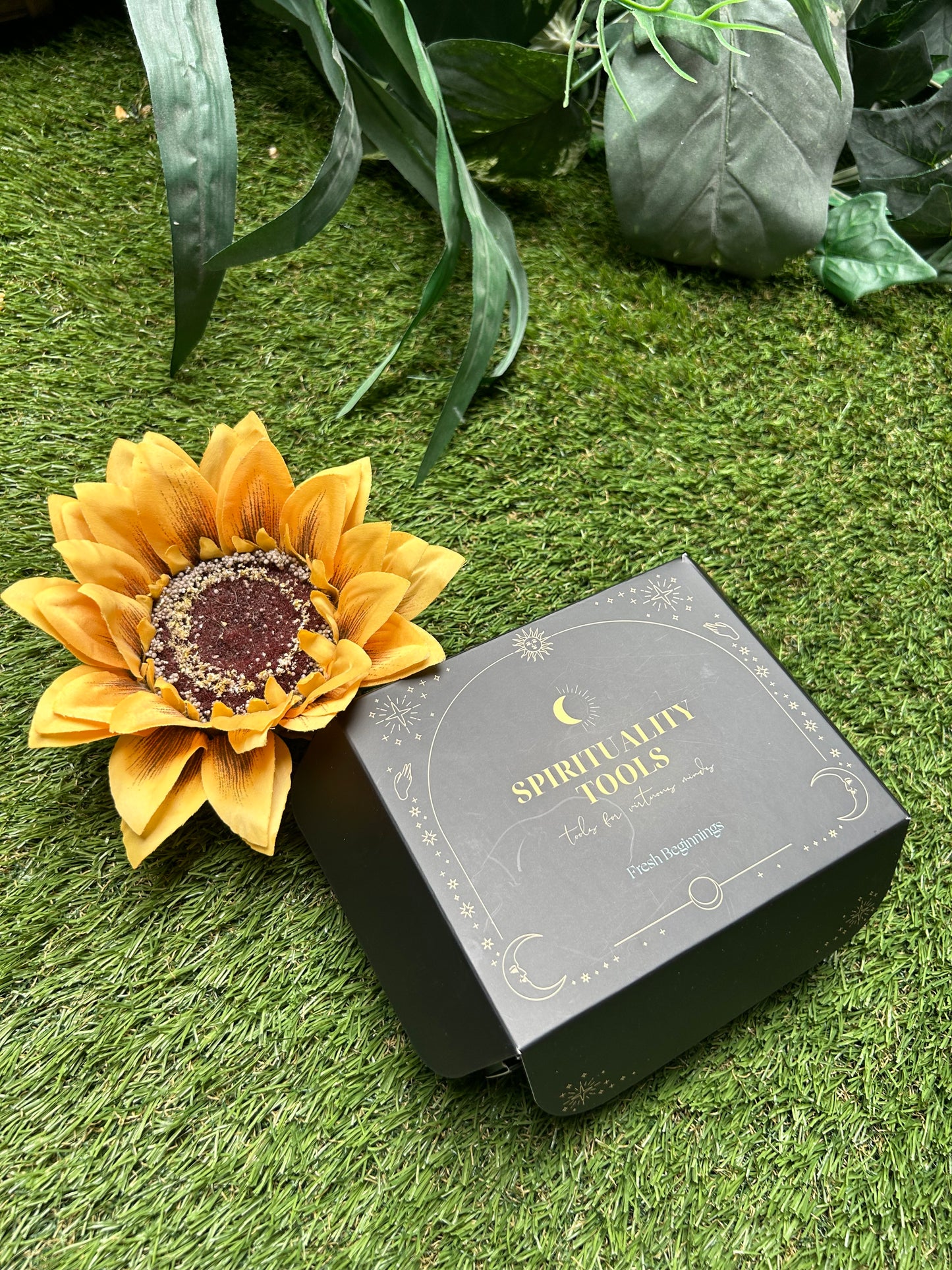 Kit Fresh Beginnings