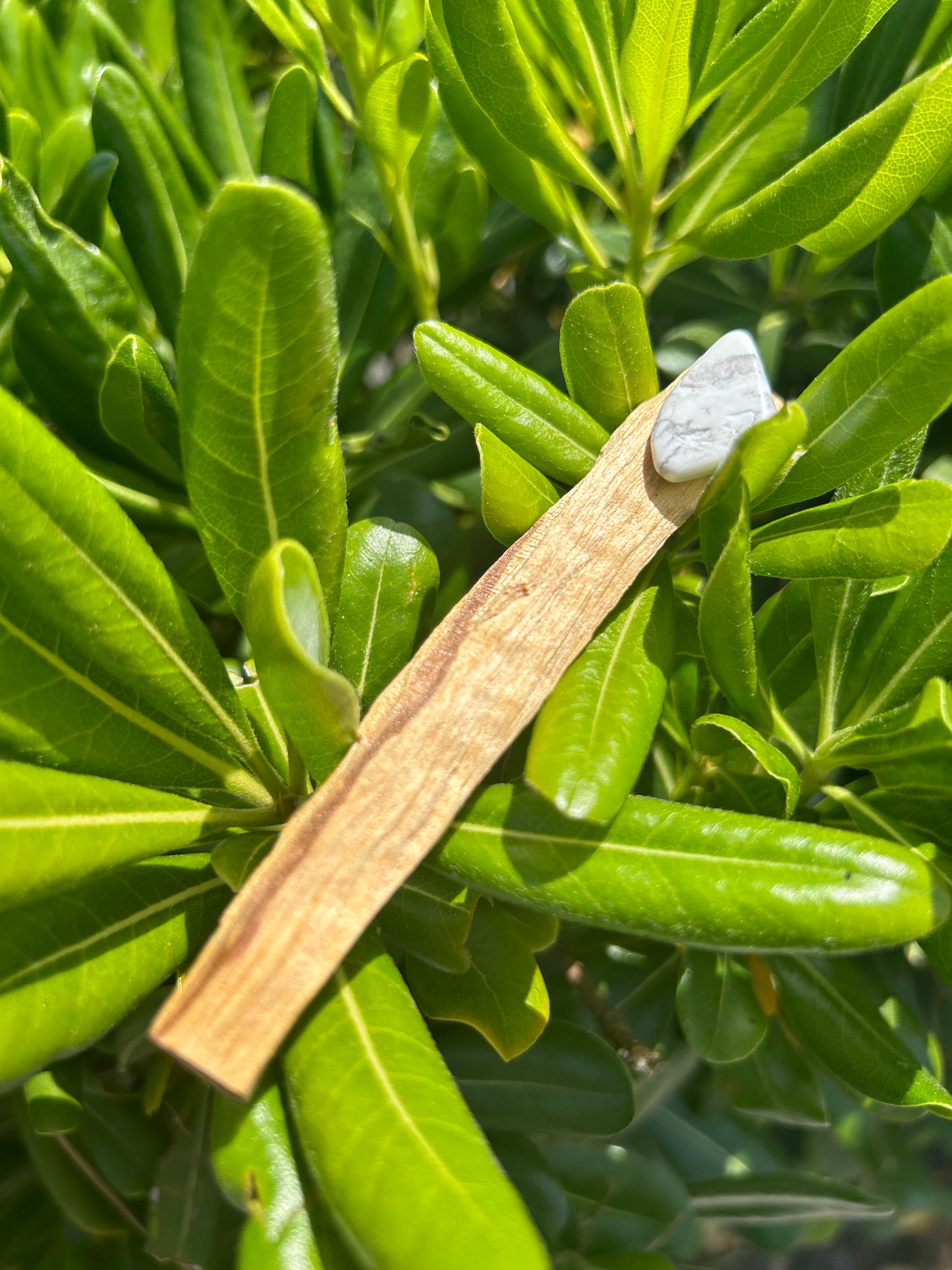 Palo Santo with Tumble Crystal/Gemstone