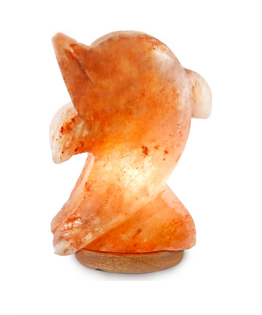 Salt Lamp Dolphin
